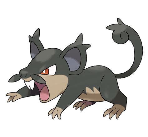 pokemons ratos|Rattata